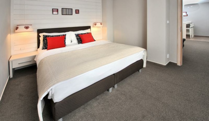 VYSOKE TATRY - Starý Smokovec - Apartmány Koliba Kamzík Vysoké Tatry - Apartmán 